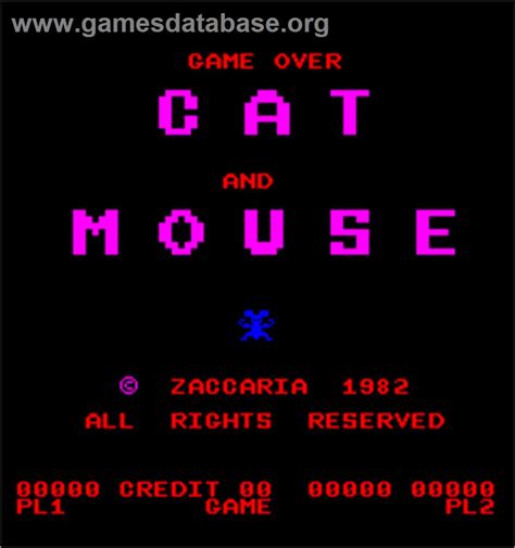 Cat and Mouse - Arcade - Games Database