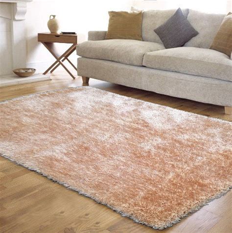 5x7 Shag Area Rug | Area rugs, Shag area rug, Beige area rugs