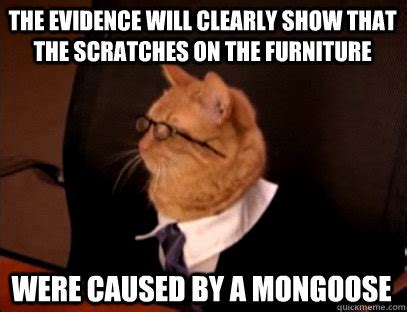 Lawyer Cat Meme