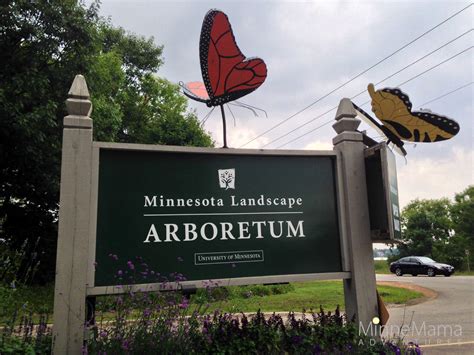 Minnesota Landscape Arboretum - For Kids