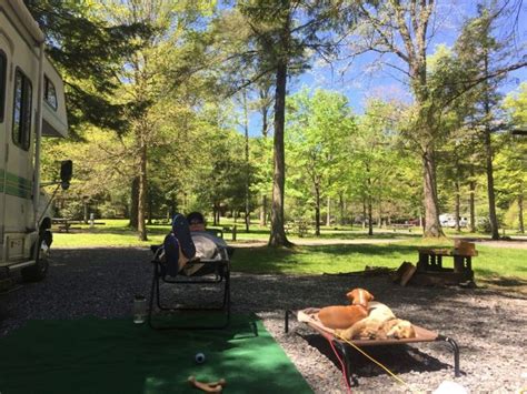 Camping Near Kinzua Bridge - CAMPING BHE