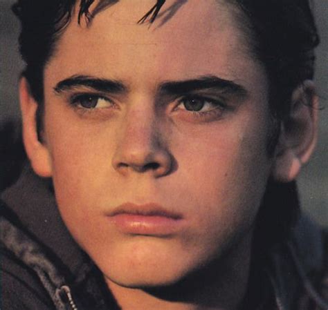 19 best ponyboy curtis images on Pinterest | Stay gold, Greaser and Pony