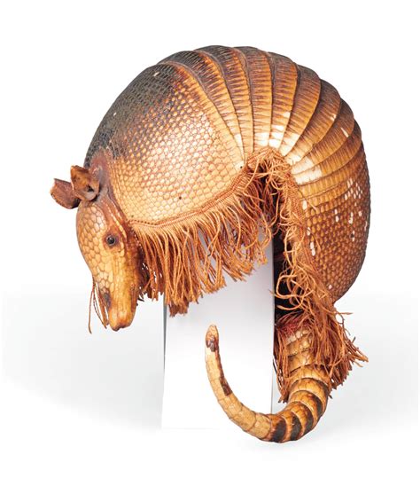 AN UNUSUAL HELMET FORMED FROM A NINE BANDED ARMADILLO SHELL (DASYPUS ...