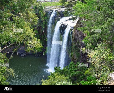 Whangarei falls, Northland, New Zealand Stock Photo - Alamy