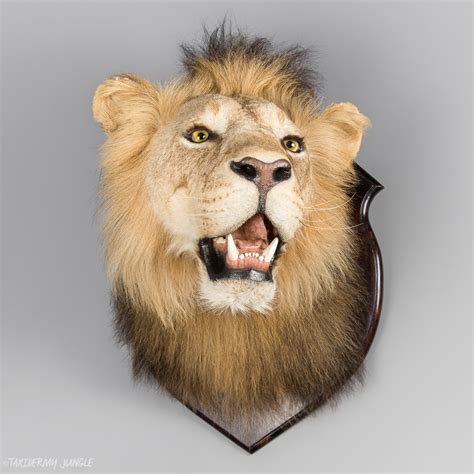 Reproduction Lion Head Faux Taxidermy Mount | ubicaciondepersonas.cdmx ...