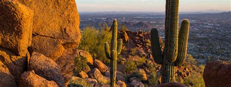 Exploring the Sonoran Desert Guide | Phoenix, Arizona