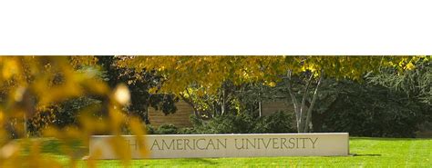 International Students | American University Online