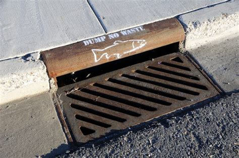 Storm Drain Traps: Understanding Their Use and Why You Need One