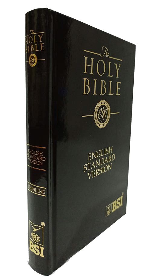 Buy Catholic Bible ESV Catholic Edition Gray Hardcover Book Online At Low Prices In India ...