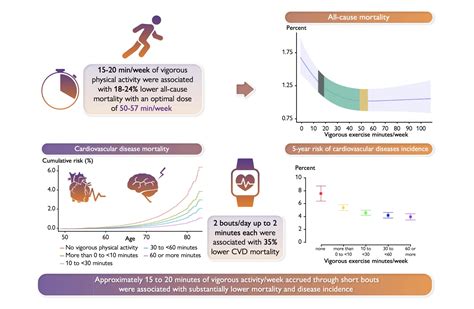 How Much Vigorous Physical Activity Is Enough? | BehaviorFit | Health, Fitness, and Applied ...