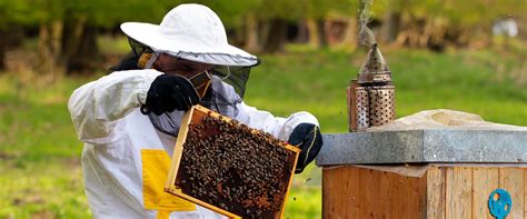 Bee Supplies - Honey - Honey Bees for Sale - Bee Well Honey Farm