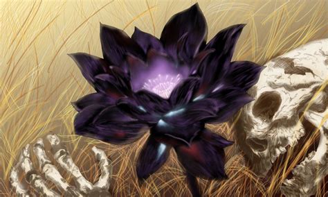 Black Lotus Flower Species in Kaomora | World Anvil