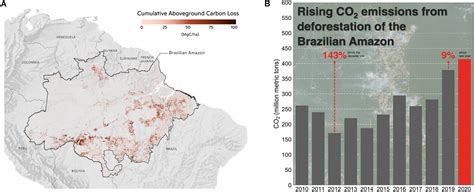 Frontiers | Beyond Deforestation: Carbon Emissions From Land Grabbing and Forest Degradation in ...