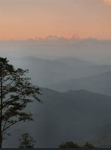 Kanchenjunga View Luxury Camp in Darjeeling | Nomadic Weekends