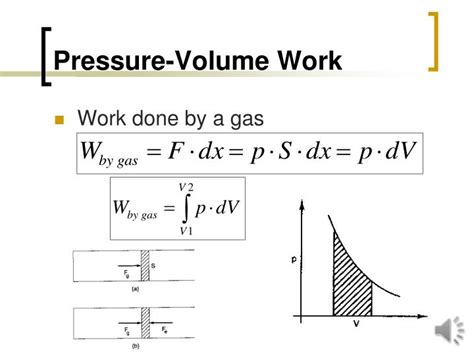 PPT - Intermediate Physics for Medicine and Biology Chapter 1: Mechanics PowerPoint Presentation ...