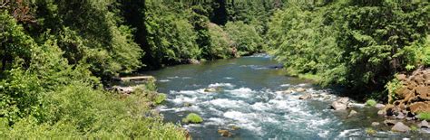 Umpqua River Area Campground Map