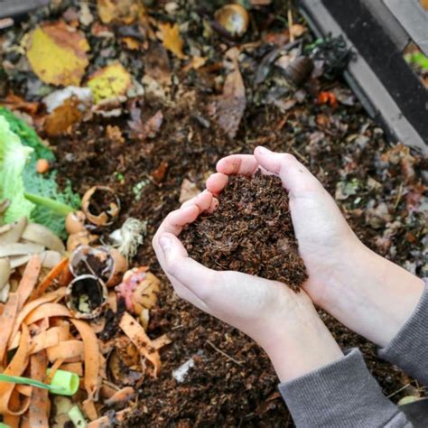 Organic Gardener's Worm Composting – Ollegardenshttps://www.ollegardens ...