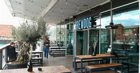 Brewdog cuts beer price 'by every degree as temperature rises' over heatwave - Bristol Live