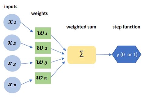 Perceptron - Coding Ninjas