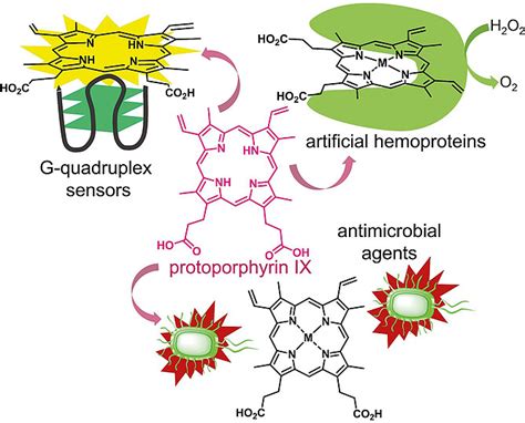 The Red Color of Life Transformed – Synthetic Advances and Emerging Applications of ...