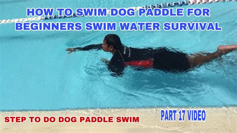 How to Swim Dog Paddle for Beginners Swim Water Survival Skills ...