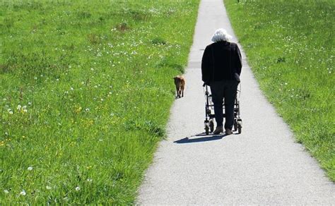 The 6 Best Narrow Walker For Seniors With Small Spaces In 2024