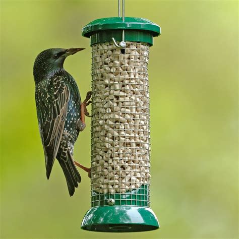 RSPB Wild Bird Feeders | Bird feeders, Bird house feeder, Bird