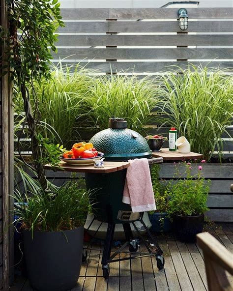 15 Best Tall Grasses for Privacy | Balcony Garden Web