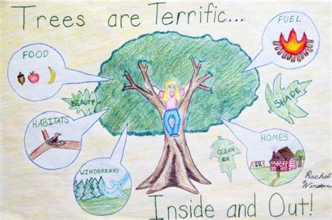 Arbor Day Poster Contest – Delaware Trees