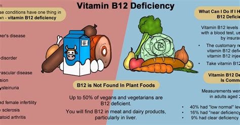 Health Information Guide- HELP: Vitamin B12 Deficiency Anemia