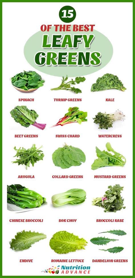 15 of the Most Nutritious Leafy Green Vegetables | Green leafy vegetable, Leafy greens recipes ...