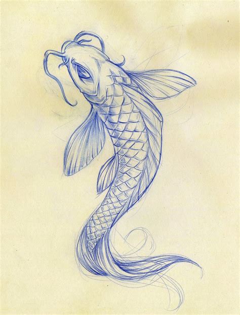 Free Fish Drawings, Download Free Fish Drawings png images, Free ClipArts on Clipart Library