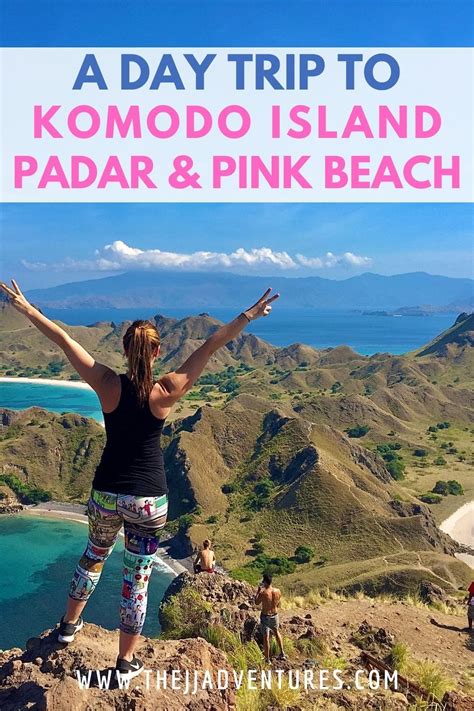 How to Get to Komodo Island, Padar Island, & Pink Beach | Komodo island ...