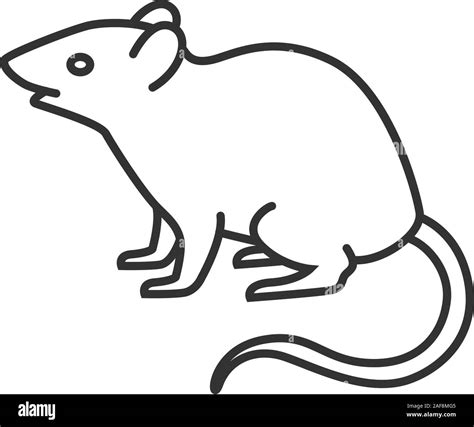 Mouse, rat linear icon. Rodent. Thin line illustration. Pest. Contour ...