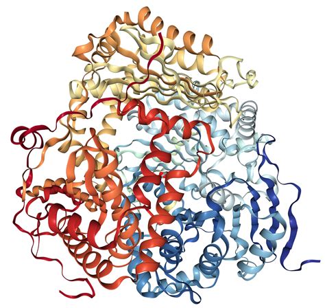 GCG/Glucagon Protein Overview | Sino Biological