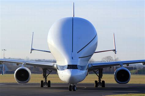 Airbus Beluga : r/aviationliveries