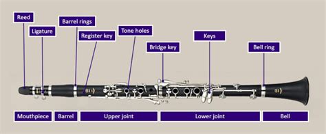 Parts of a Clarinet Explained