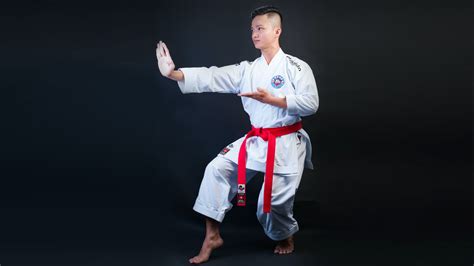 14 Basic Karate Stances Help You Build a Strong Base