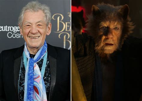 Cats Movie Cast Side by Side With Their Characters | POPSUGAR Entertainment