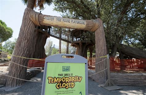 El Paso Zoo gets ready to re-open July 1 with new safety precautions, new hours