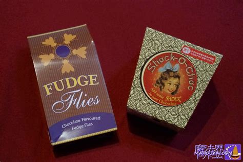 FUDGE 魔法界のお菓子 ハエ型ヌガー（ファッジ）はチョコレートじゃ♪ハニーデュークス（USJ 「ハリー・ポッター エリア」） - 魔法界 ...