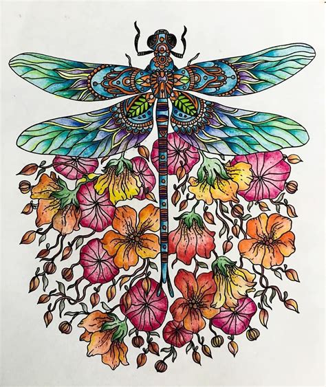 Pin by Tricia Pigeon on Dragonflies | Dragonfly drawing, Dragonfly art ...