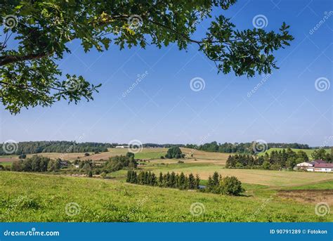 Countryside in Poland stock image. Image of poland, grazing - 90791289