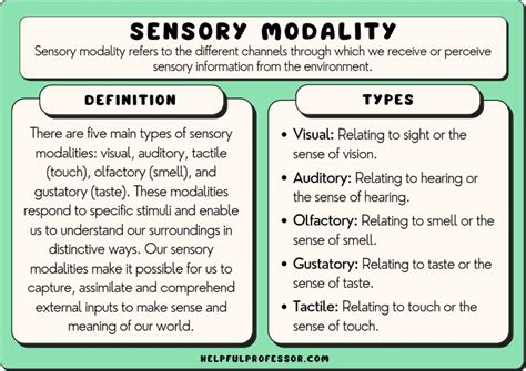 Sensory Modality: 10 Examples and Definition (2024)