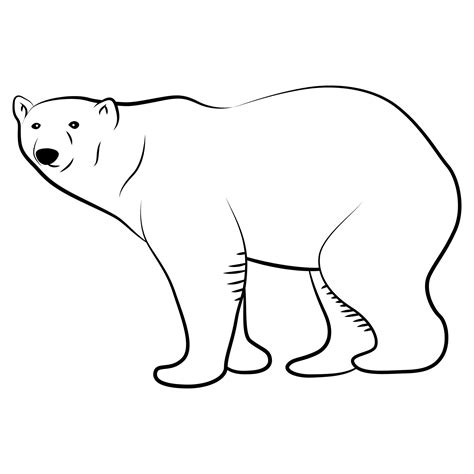 oso polar en boceto de contorno. 7768827 Vector en Vecteezy