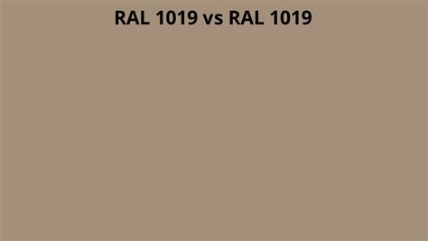 RAL 1019 vs 1019 | RAL colour chart UK