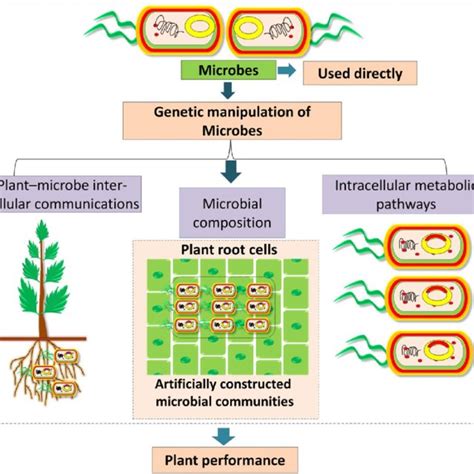 (PDF) Soil microbiome: a key player for conservation of soil health ...