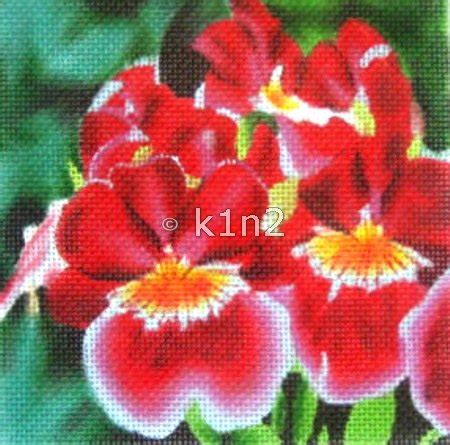 Needlepoint Canvas by Designer