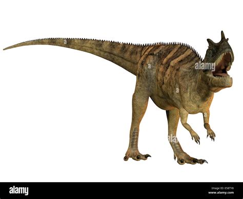 The Ceratosaurus is a horned theropod dinosaur found in North America ...