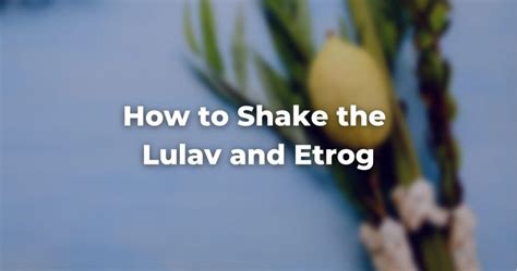 How to Shake the Lulav and Etrog - The Digital Home for Conservative ...